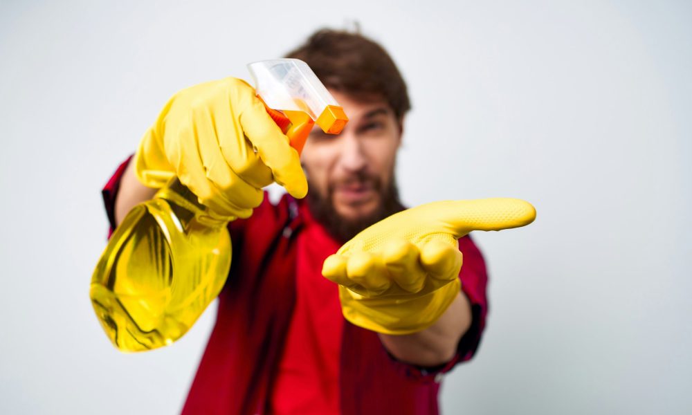 cleaner cleaning hygiene provision of services